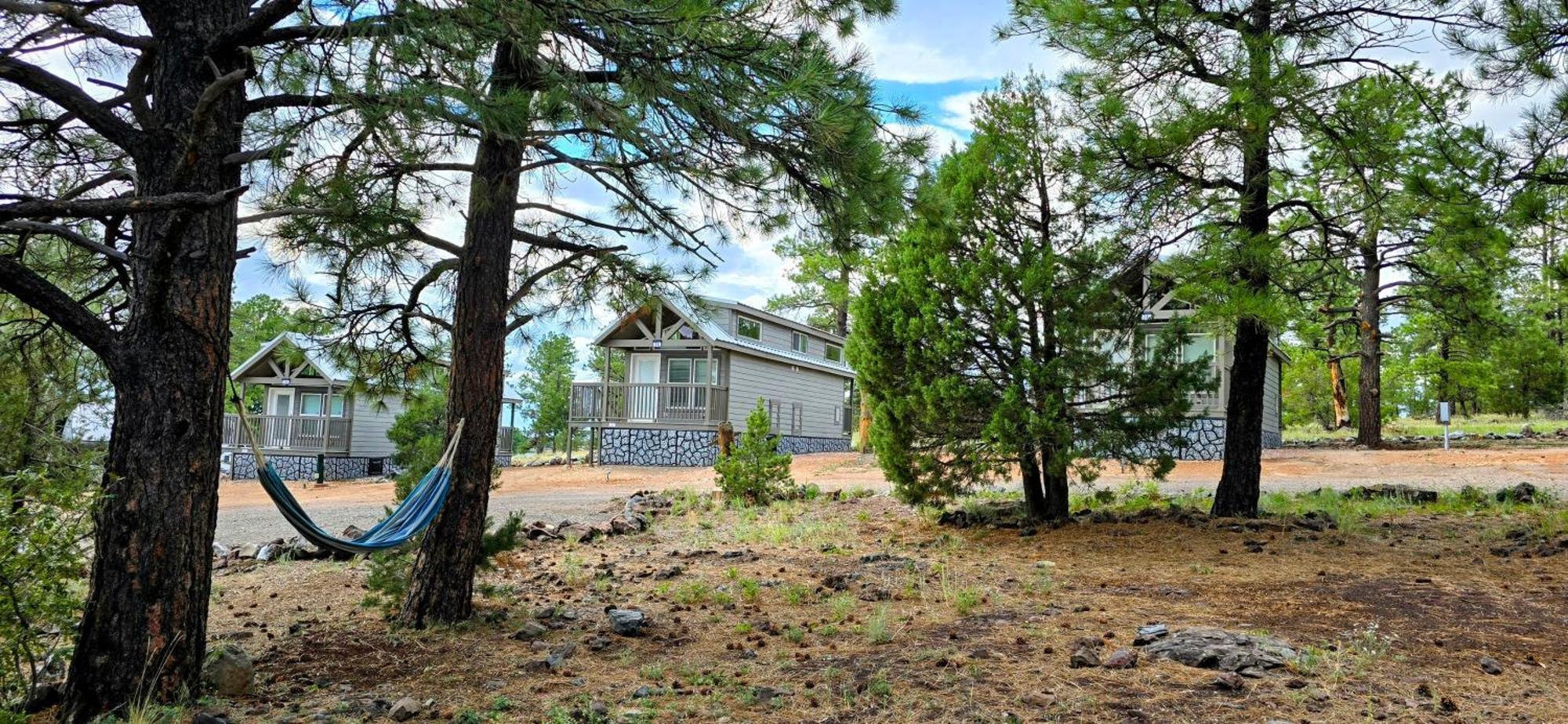 Cabin With A Mountain View 6B ويليامز المظهر الخارجي الصورة